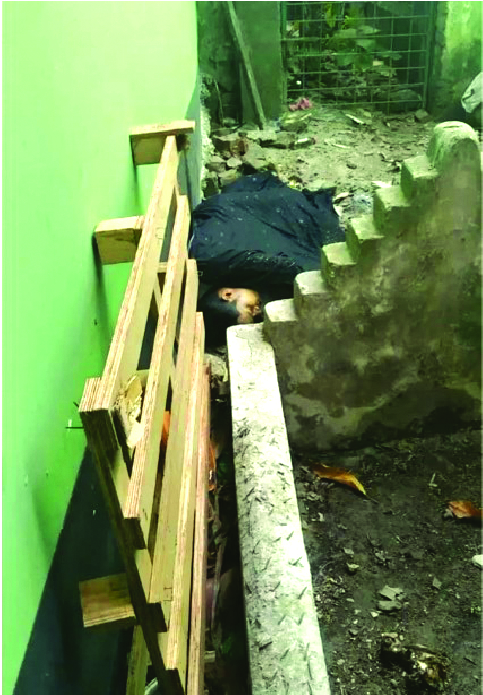 Image of মো: নজরুল ইসলাম